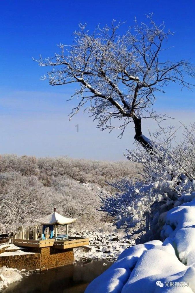 白茶和绿茶有什么区别游戏画面